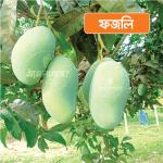 Fazli Mango 10 KG