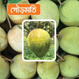 Gourmoti Mango 10 KG